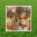 Así se jugará la fase de grupos del Mundial 2026.