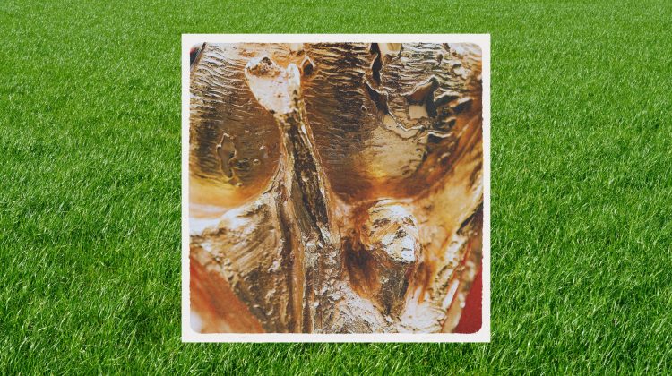 Así se jugará la fase de grupos del Mundial 2026.